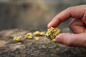 Экологические группы призывают прекратить золотодобычу
