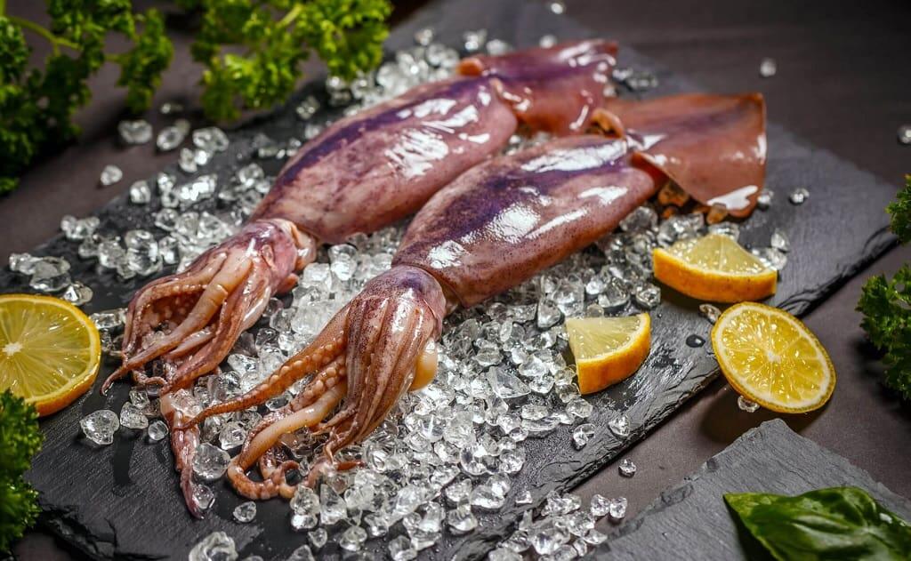 Мясо кальмара: чем оно полезно и как его готовить