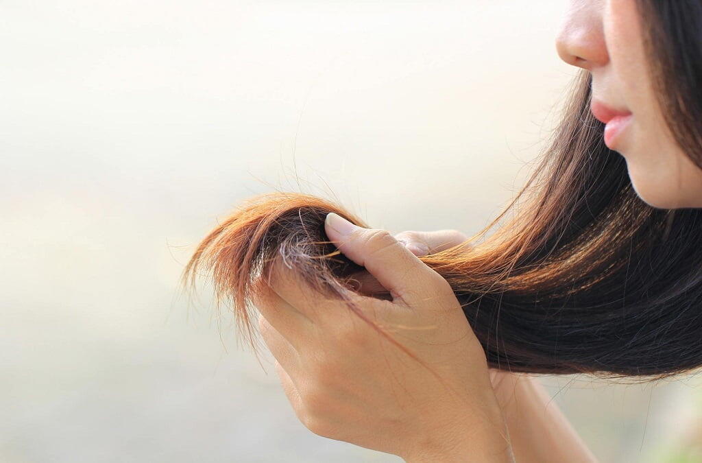 Сухие волосы: как за ними ухаживать