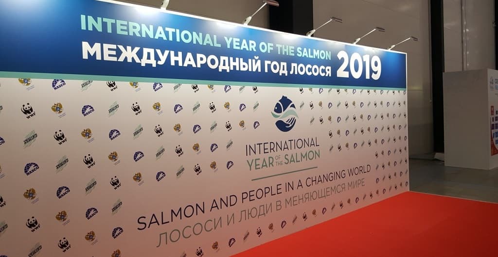 До конца 2019 года в России идёт Международный год лосося