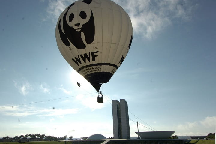 Учреждение WWF — ещё одно беспрецедентное достижение Союза