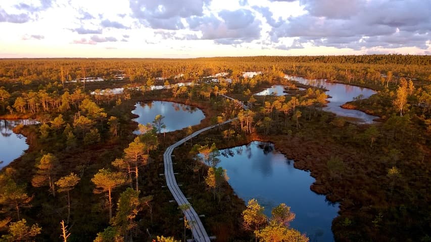 Большое Кемерское болото