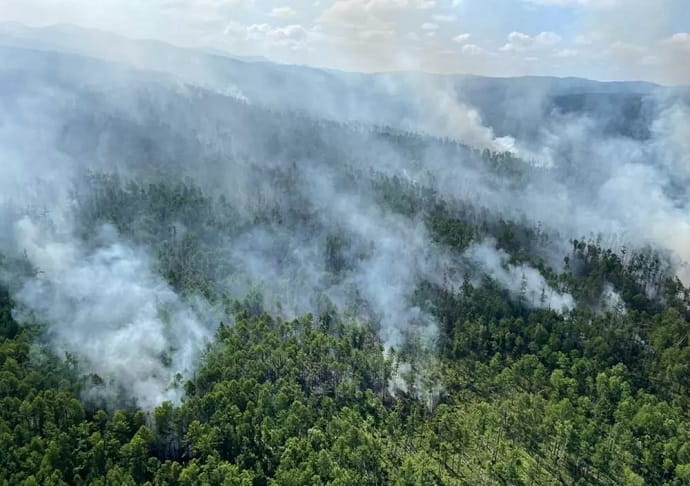 В 2021 году выросла площадь лесных пожаров на территории России