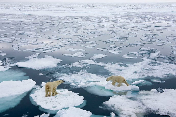 Из-за глобального потепления больше всего может пострадать Арктика