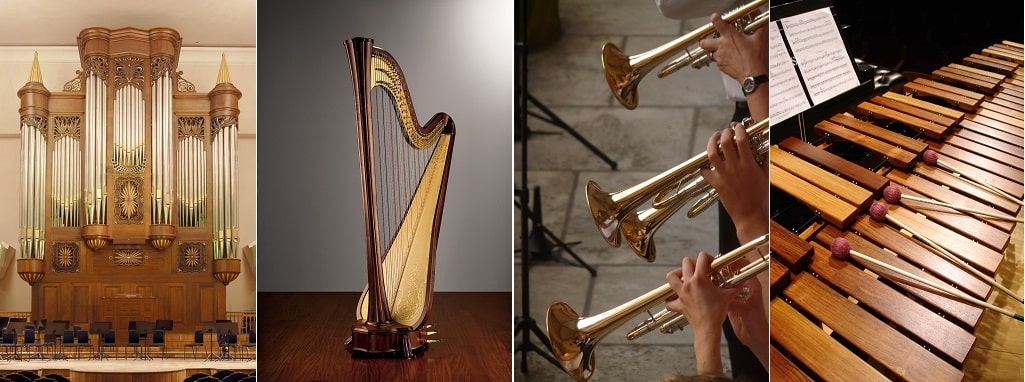 В 2020 году конкурс пройдёт по четырём номинациям: «Орган», «Арфа», «Духовые соло и в ансамбле», «Ударные инструменты»