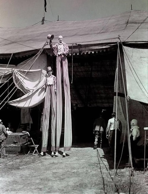 Судьба героини и малыша теперь тесно связана с бродячим цирком