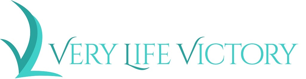 Новый логотип vlv-mag.com