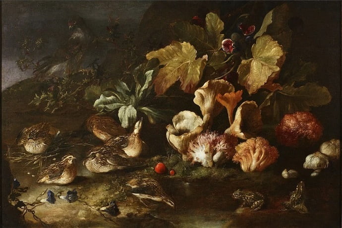 Паоло Порпора. Натюрморт с грибами.1652-1656гг.