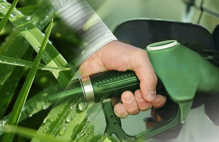 Как сделать биотопливо своими руками из навоза в домашних условиях