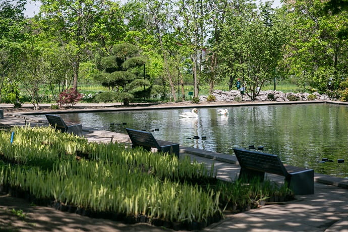 Ботанический сад в Алматы