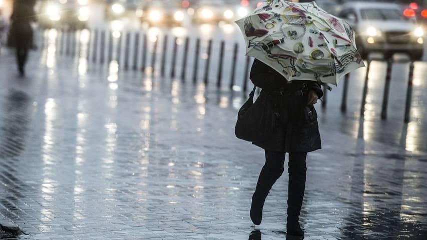 Непрерывные дожди на европейской части РФ привели к проблемам с урожаем