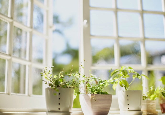 Частое проветривание, комнатные растения улучшат окружающую среду