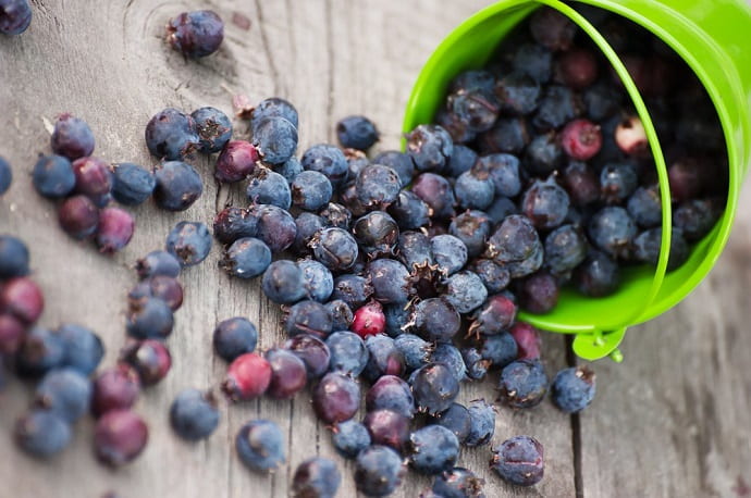 В 100 граммах ягод содержится 58% дневной нормы бета-каротина, необходимого для нашего зрения