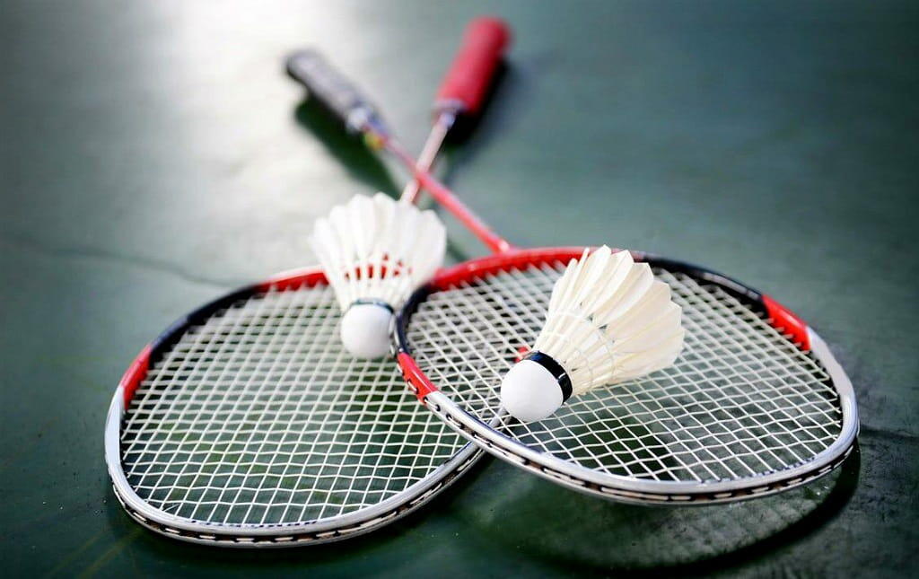 2019 World Badminton Championships
