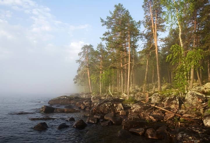 The majority of Russian woodlands (78% of total territory) consist of coniferous forests, photo WEB