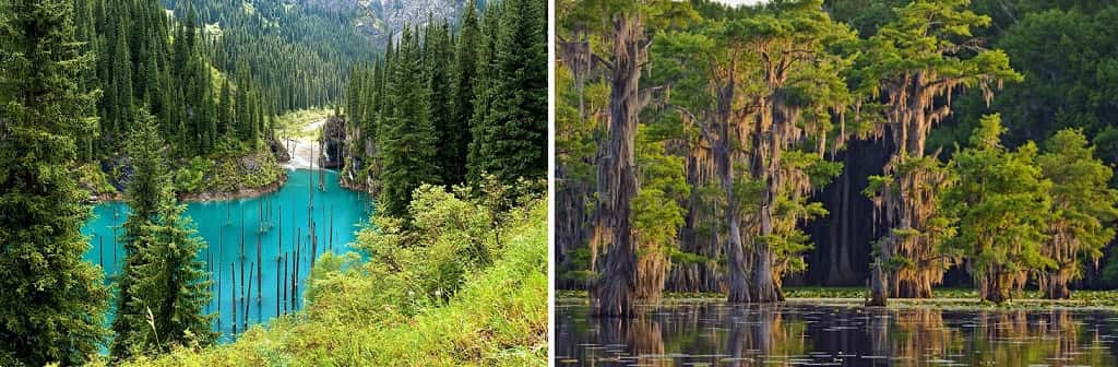 Lake Kaindy (left), Lake Caddo (right)