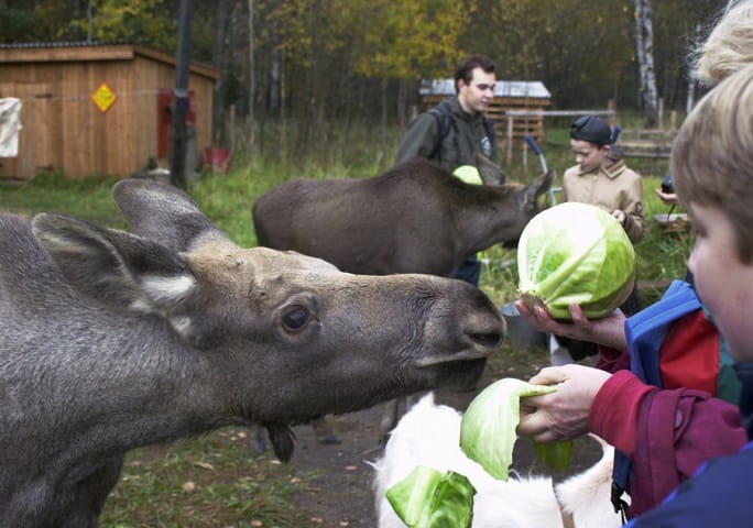 It is necessary to work on the ecological culture of the population