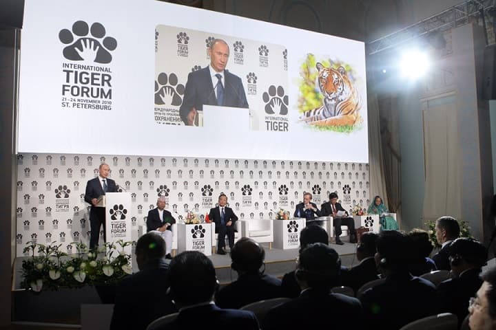 Tiger Forum was held in St. Petersburg