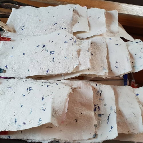 Special biodegradable paper - a source of glucose for bees