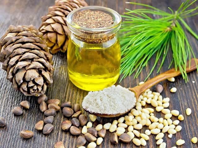Pine nut oil features uniquely balanced contents, photo WEB