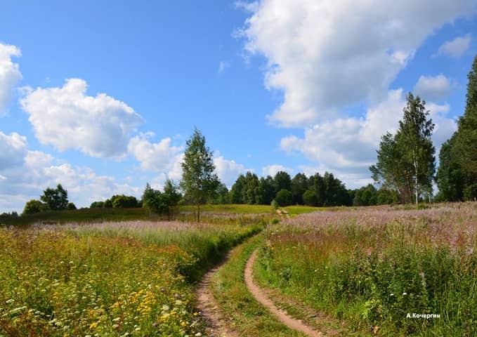 Smolenskoye Poozerye National Park 