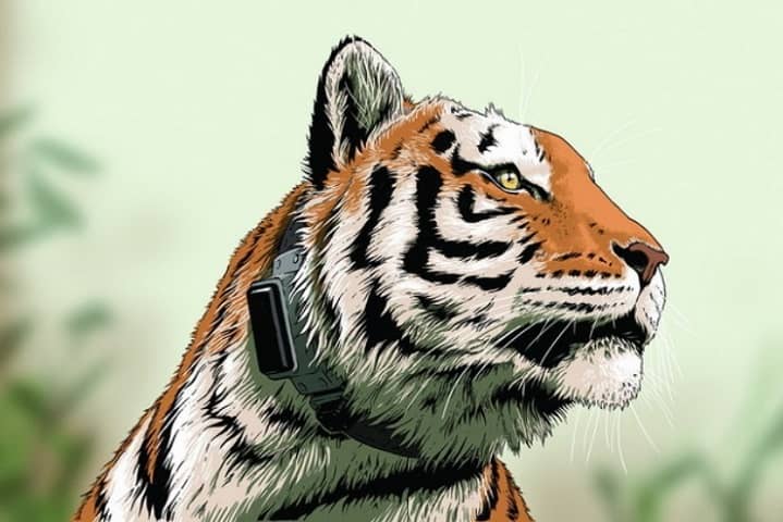 Comics about Uporny drew by Matthew Twombly