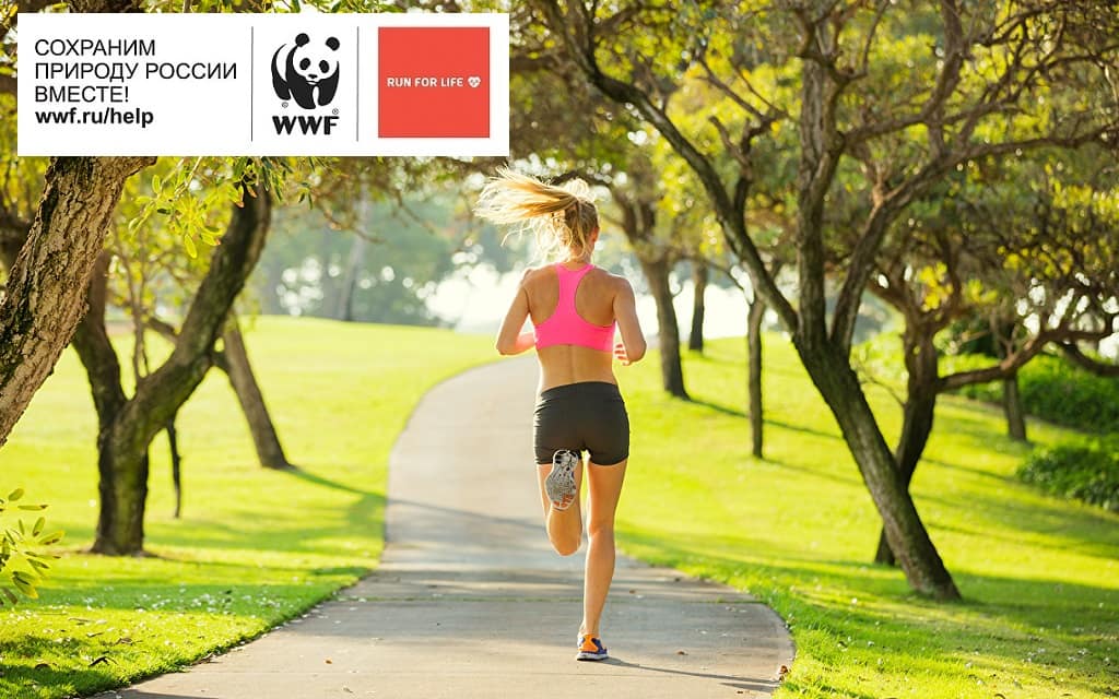 Run for Life with WWF Very Life Victory