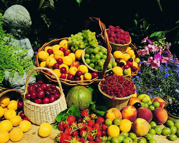 The most useful compotes are cooked from fruits harvested in their own garden