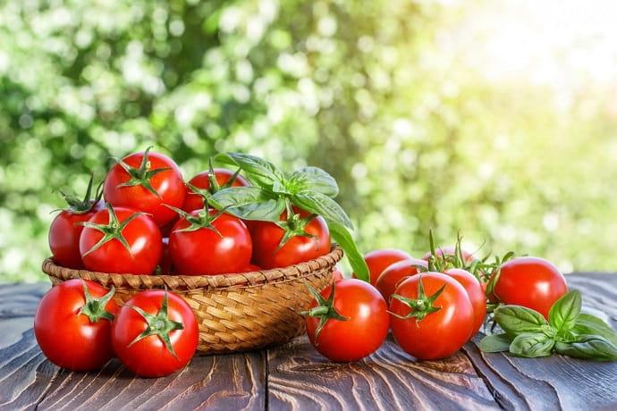 Tomatoes were once considered poisonous.
