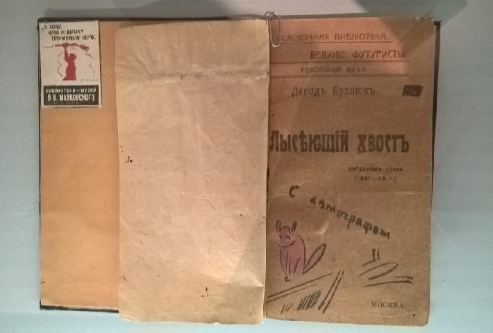 A unique collection "Balding Tail" photo by A. Goncharenko