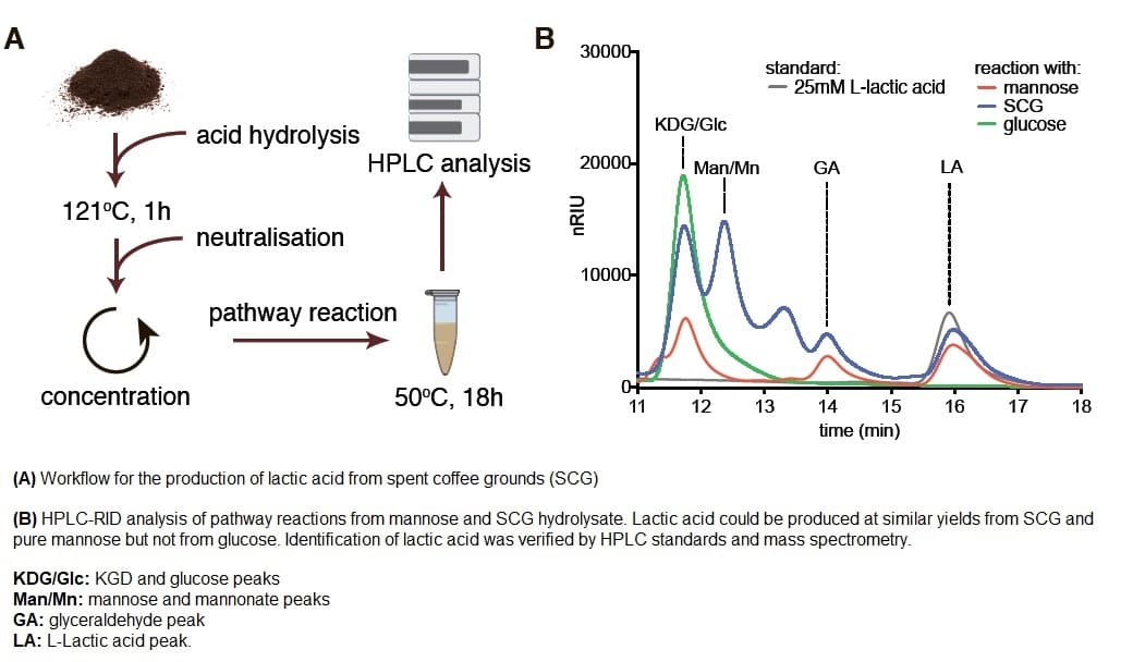 Cell-free Synthetic Pathway for the Conversion of Spent Coffee Grounds into Lactic acid