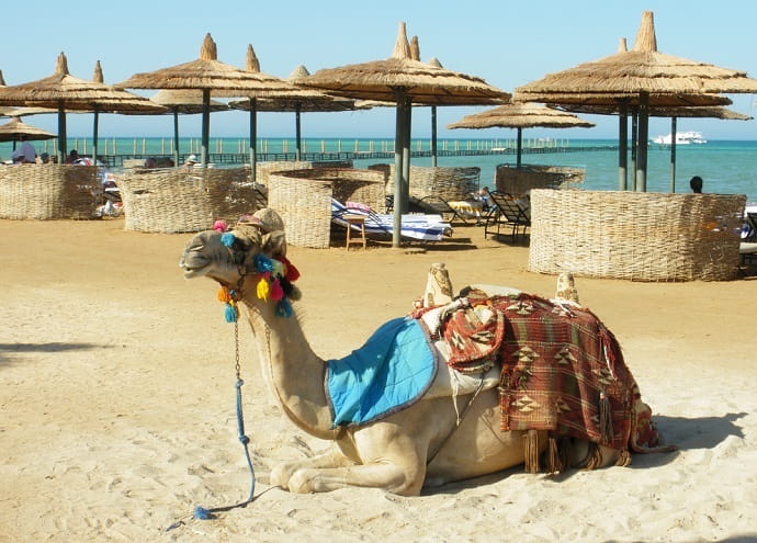 The beach holiday season in Egypt begins in October