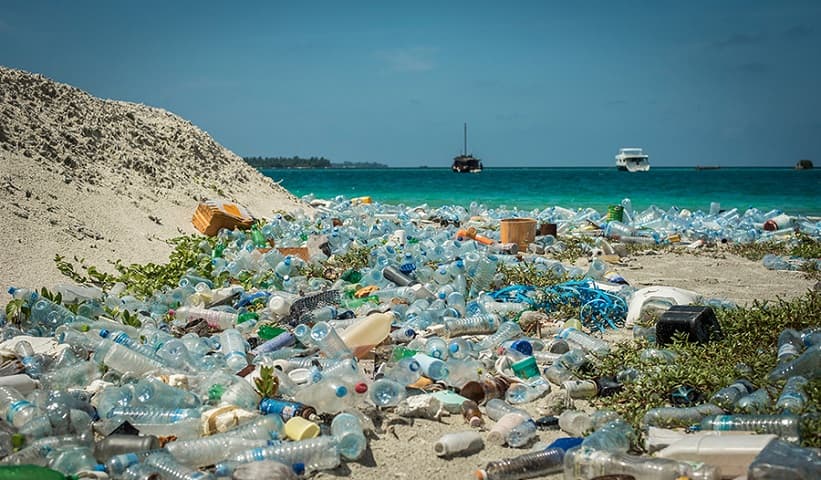 Plastic bottles are the main material in the production of sneakers