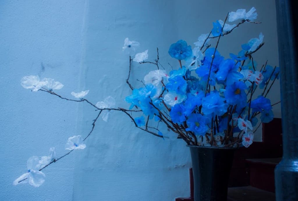 Plastic flowers took part in 12 exhibitions