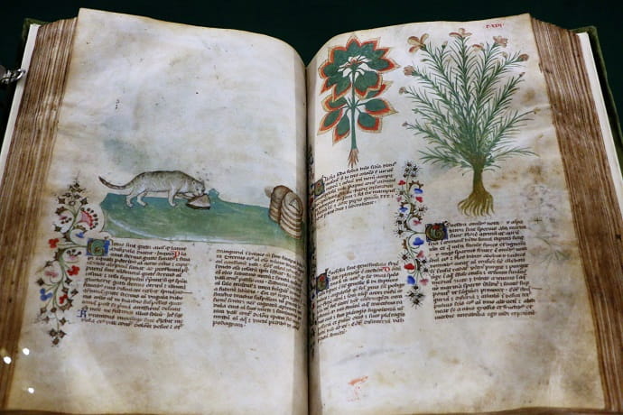 Book «Historia plantarum»